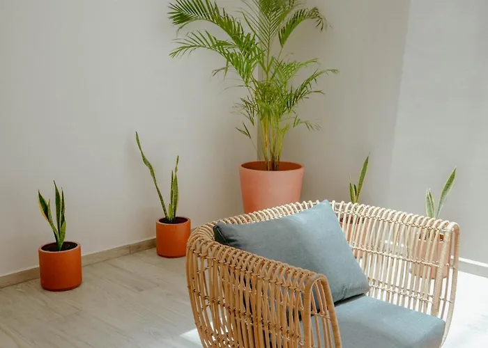 Hotel Macondo Quinta Avenida Residences Playa del Carmen