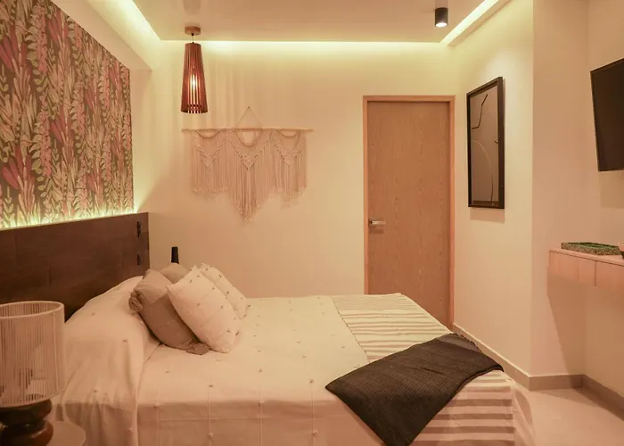 Hotel Macondo Quinta Avenida Residences